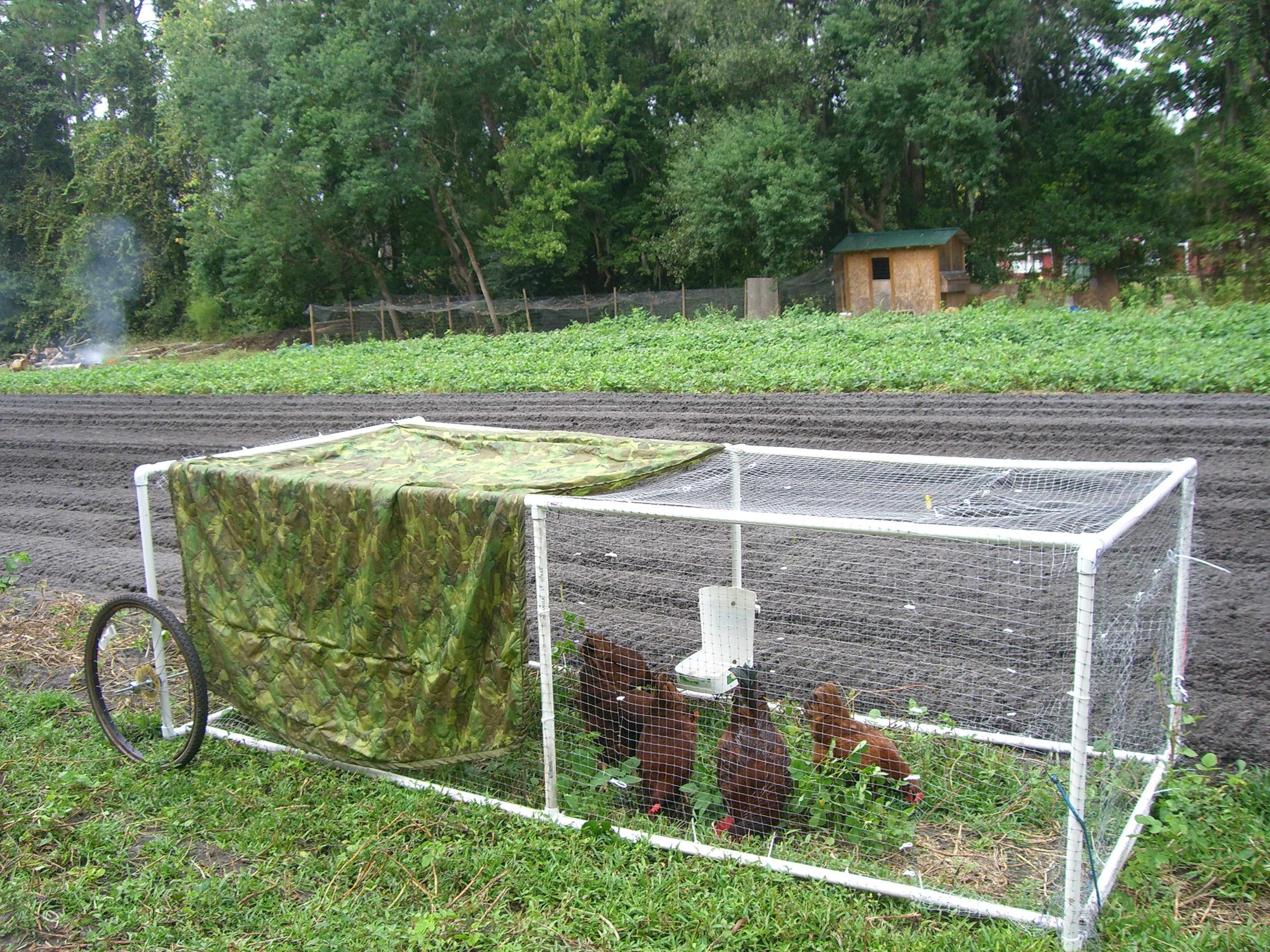 The Chicken Tractor Down to Earth Farm, Jacksonville